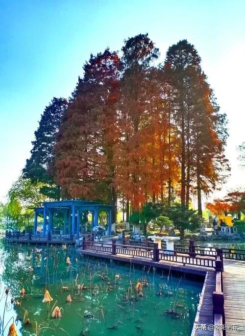 十大高逼格免费景点,最值得去的自然风景免费攻略