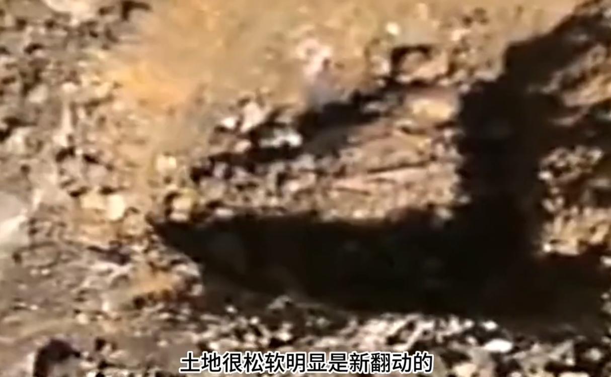 妻子半夜磨刀剁肉,妻子深夜欲杀丈夫