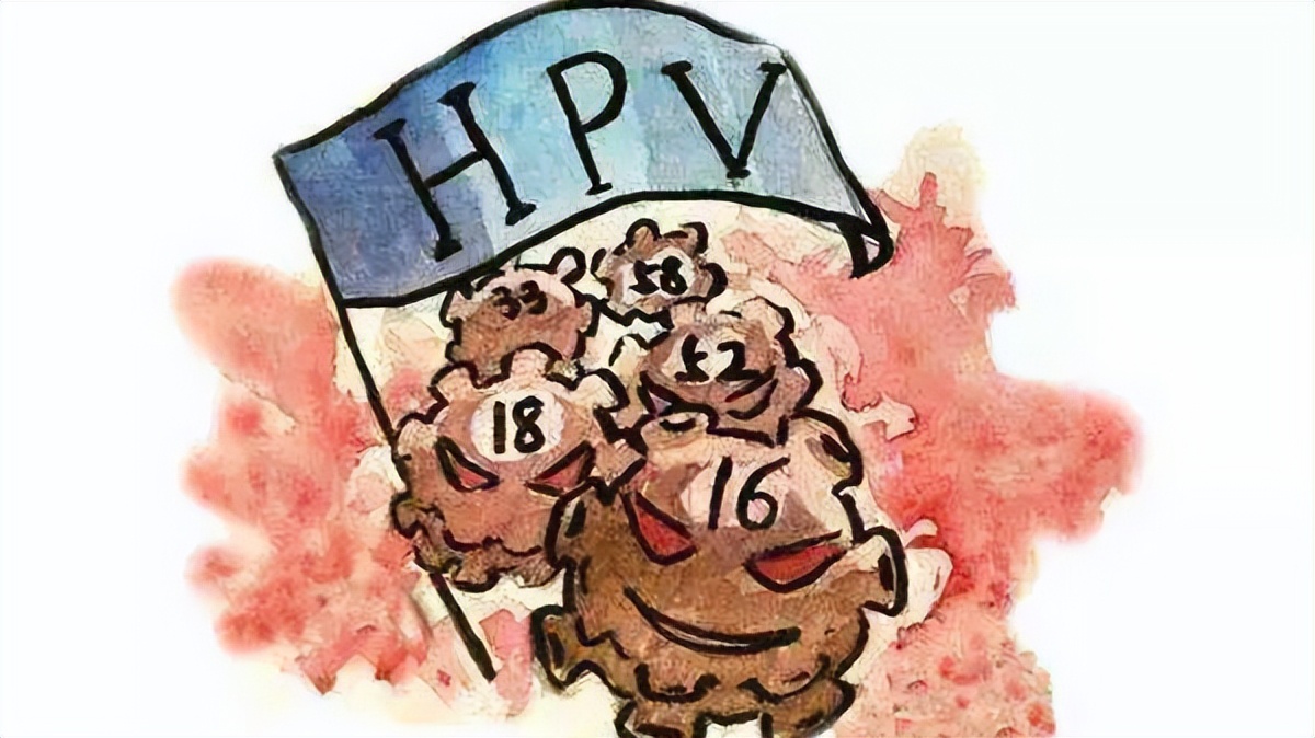 女性hpv感染老公也需要治疗吗,女性感染了hpv需要怎么治疗