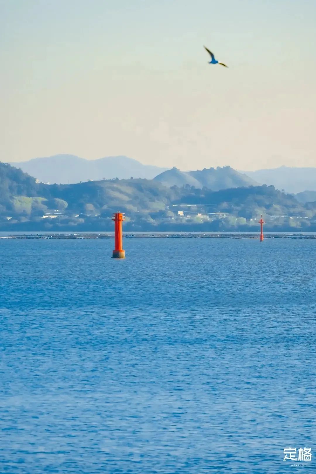 深圳10公里跑步路线,深圳跑步路线推荐塑胶跑道