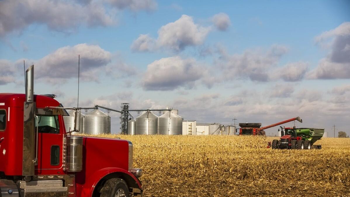 美玉米未来价格,美玉米暴跌利好中国农产品吗