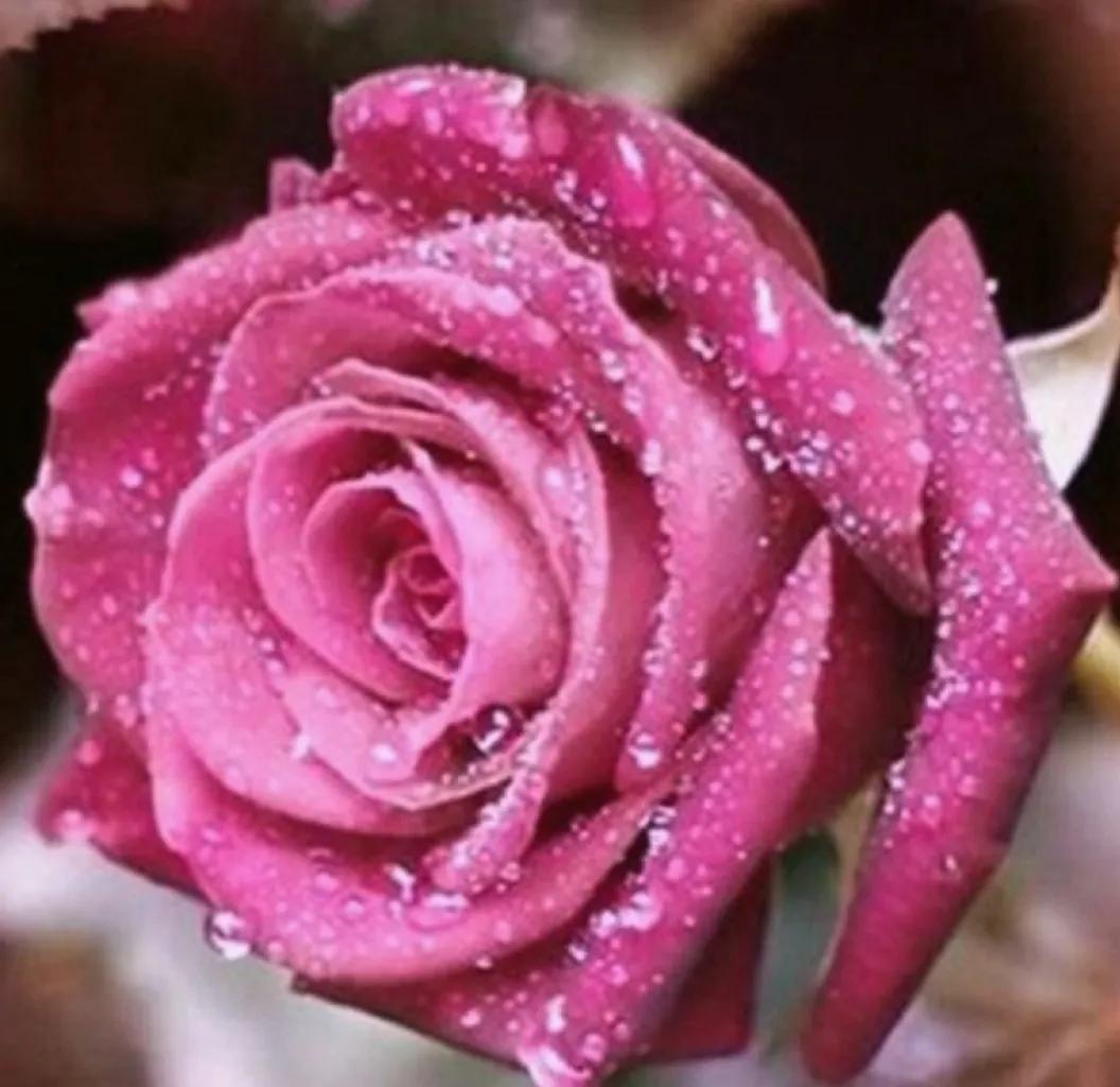 失眠吃中药能睡药一停又会失眠吗,失眠吃中药副作用大吗