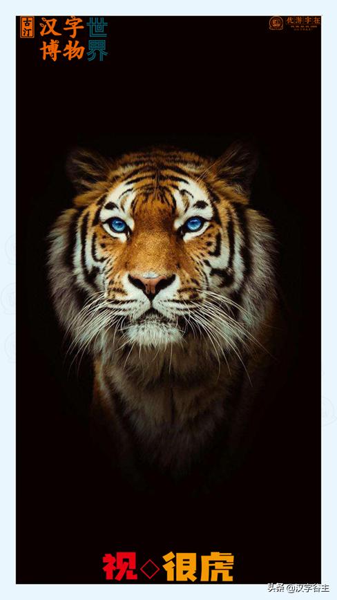 虎年带虎的成语,搜集有关虎年的成语十则