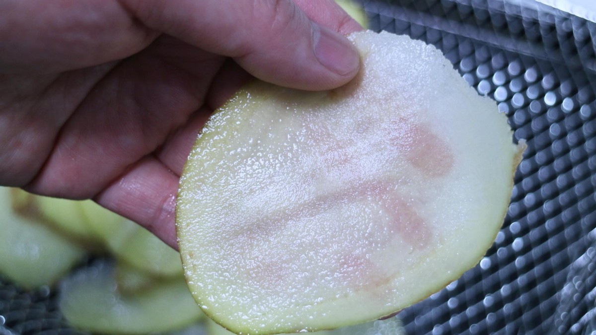 七彩叮当绞肉机多少钱,七彩叮当绞肉机官方旗舰店