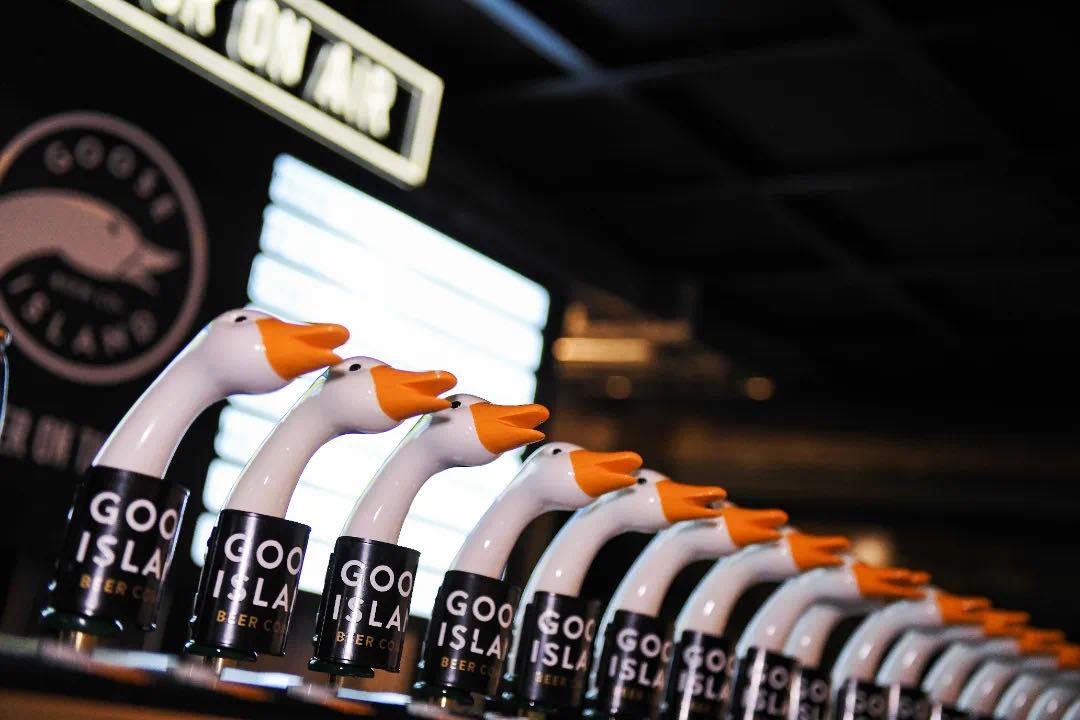 成都新晋首店排行,成都高逼格品牌