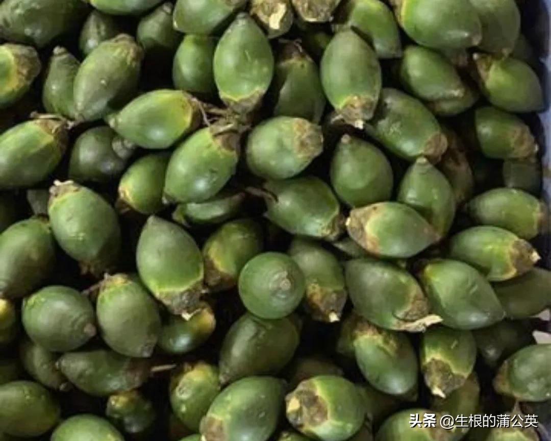 第一次嚼槟榔是什么感觉,爱吃槟榔有什么特征