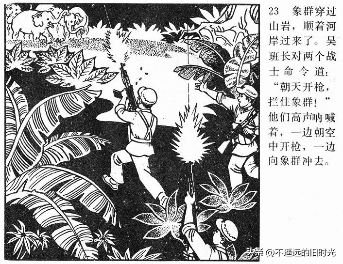 大象搬家,大象搬家河北