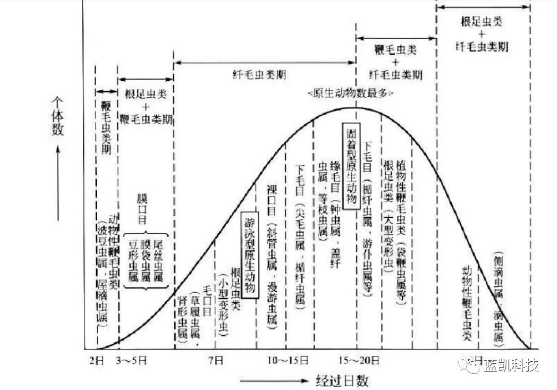 活性污泥中微生物的观察,活性污泥微生物镜检取样