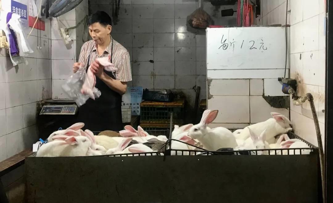 小白兔要怎么做好吃,小白兔又白又可爱