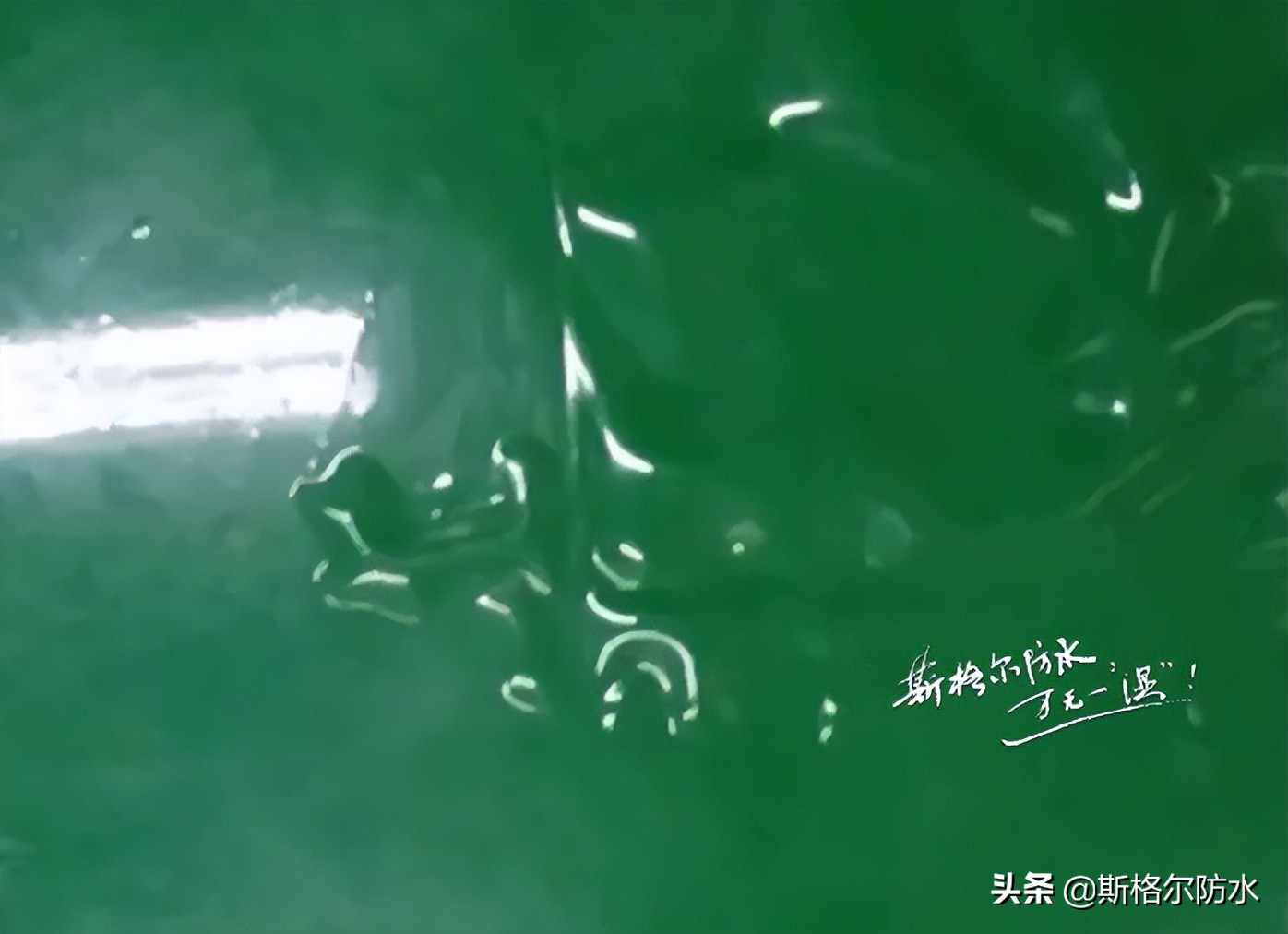 聚氨酯防水涂料漏水怎么办,聚氨酯防水涂料的正确使用方法