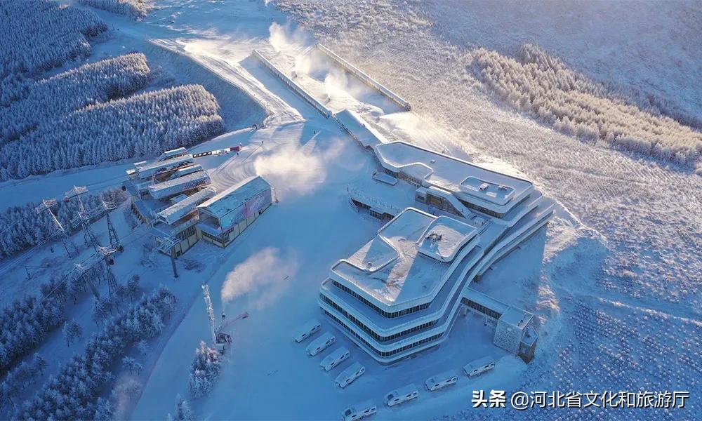 万龙滑雪场粉雪,万龙滑雪场粉雪全能板