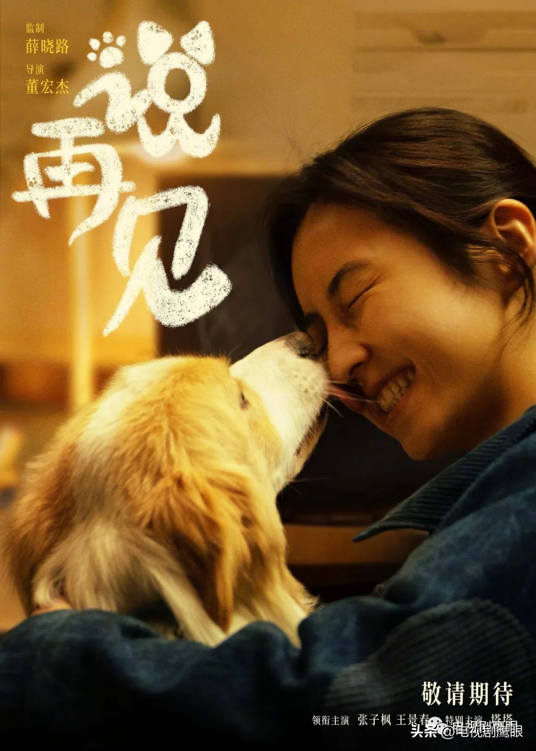 以下剧集/电影获官方基金会资助（2023Q1）