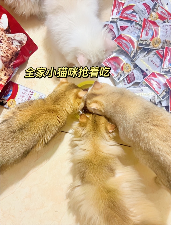 猫21测评:Hunter猎然系列冻干牛肉挑食猫咪愿意吃吗?