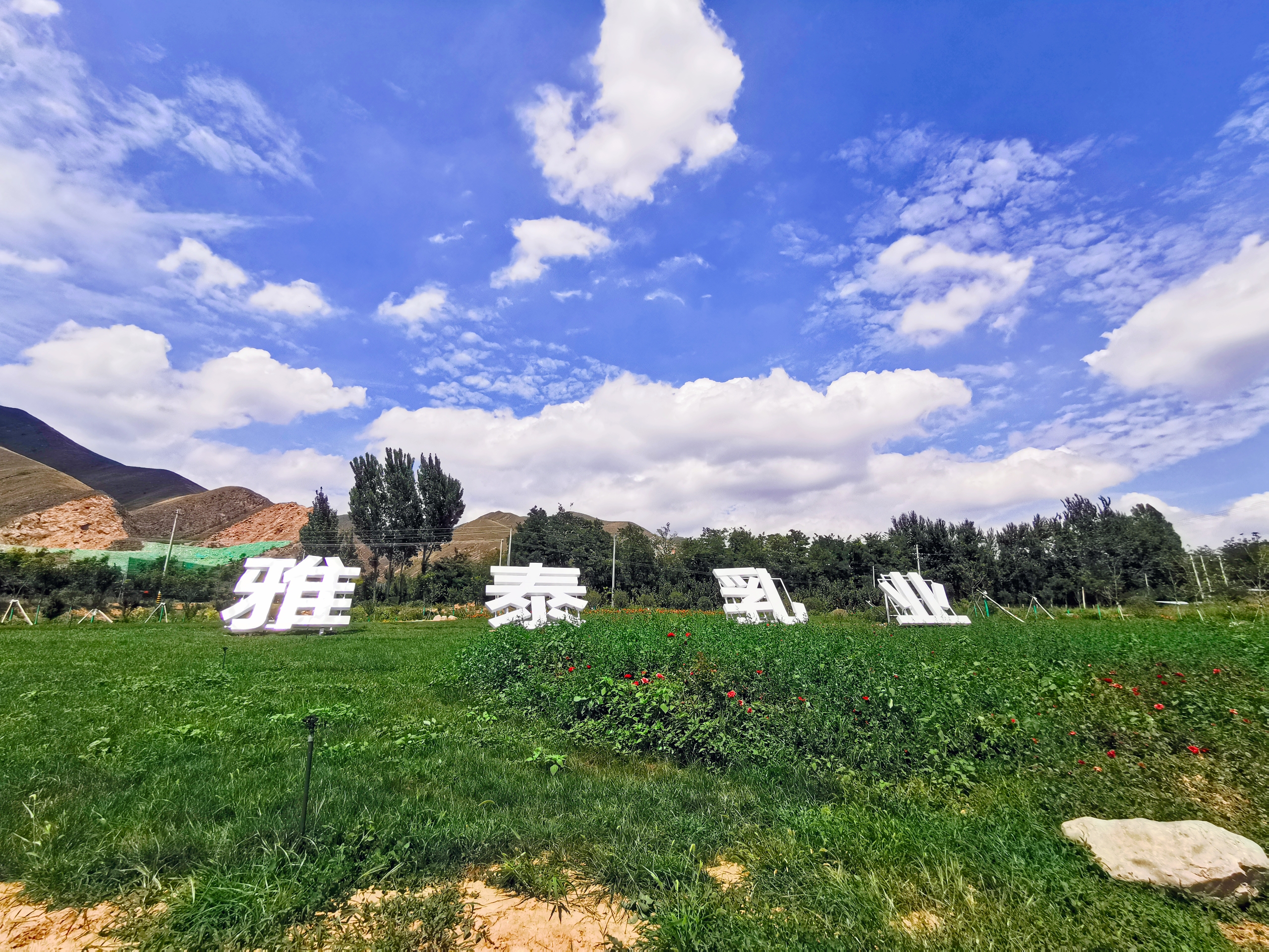 怎么选羊奶粉才知道适合宝宝呢,哪款羊奶粉最适合新生儿