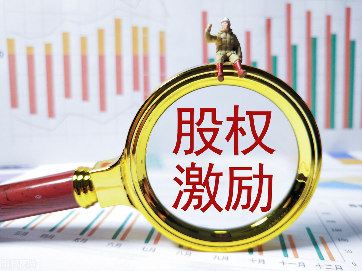 股票期权股权激励处理,股票期权激励和股权激励