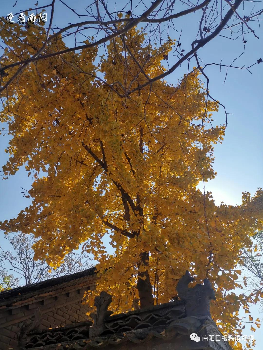 爱看南阳㉟你好2022，再见2021