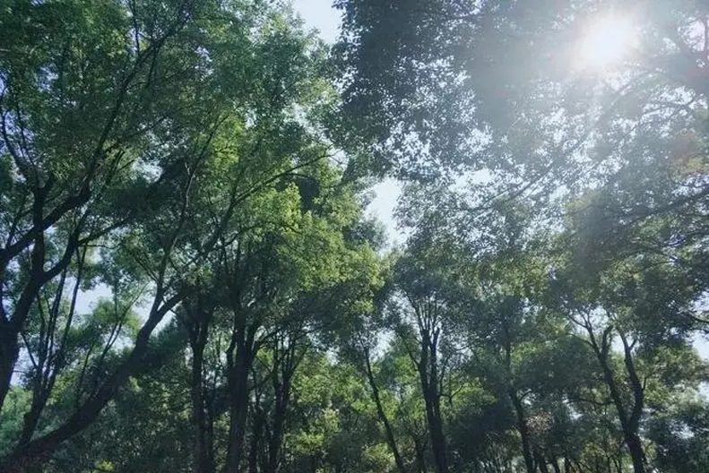 立秋老人有什么说法,有位老人讲述今年立秋是早还是晚