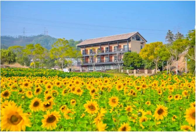 最新厦门游玩攻略,厦门5天新年游玩攻略