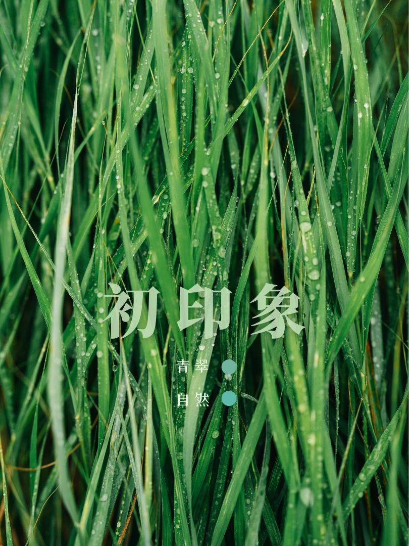 金地东莞名著,东莞金地名著样板房