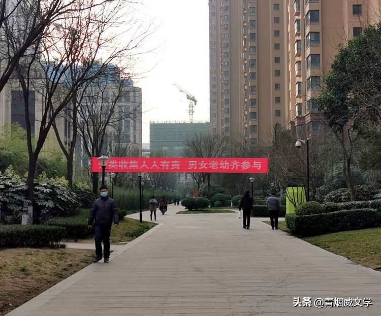 辞旧迎新诗完整版,兔去龙来辞旧迎新诗词