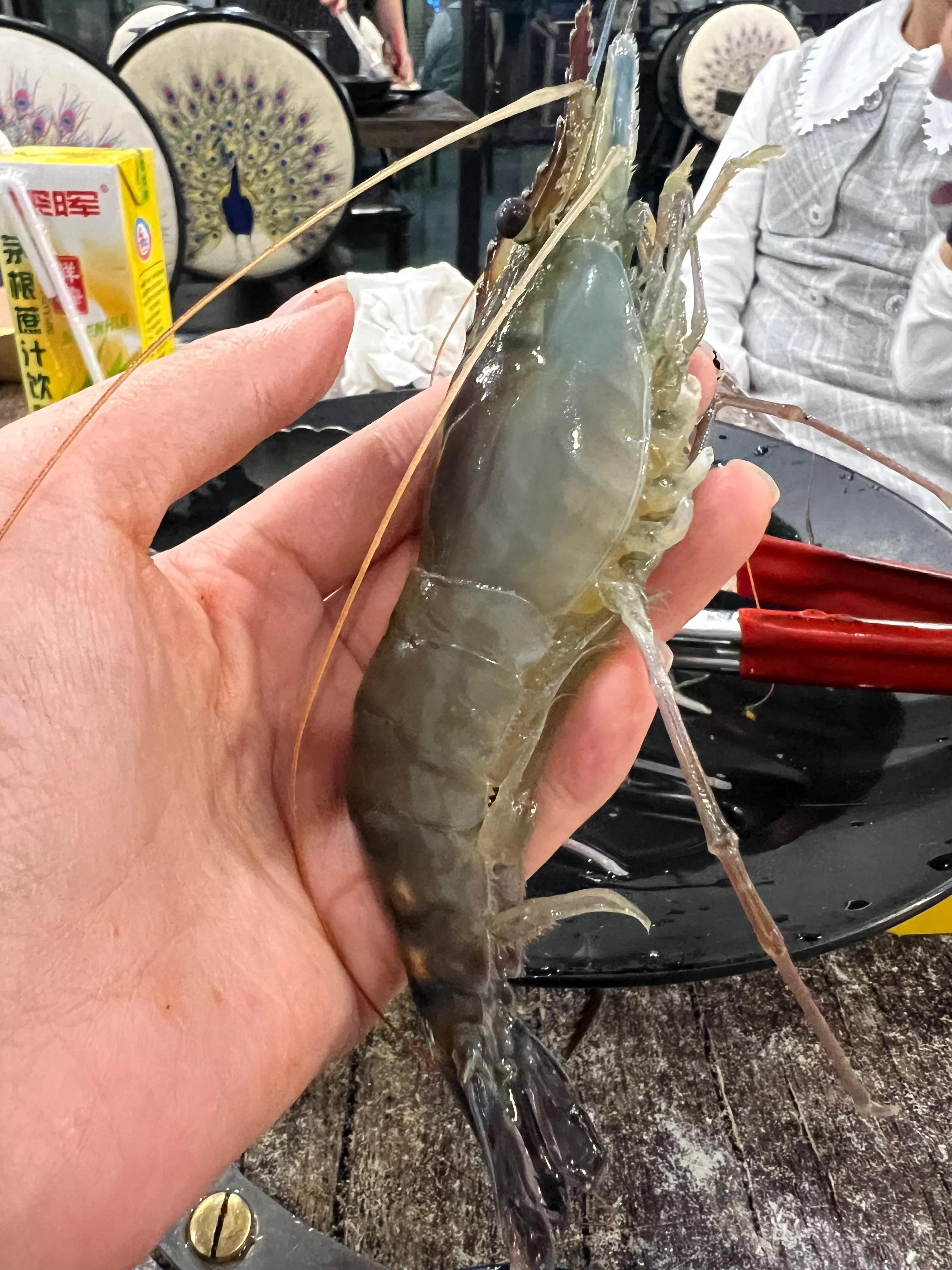 广州捞小海鲜哪家最好吃,广州美食探店珠江新城