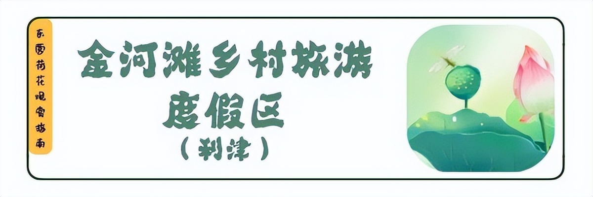 荷你有约环创,荷你有约完整视频