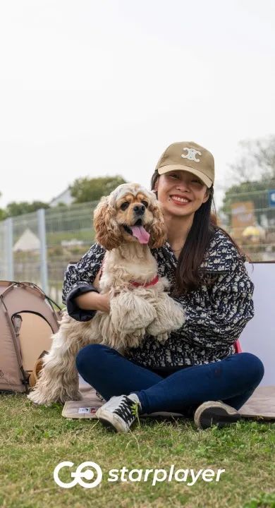 汪汪队露营去游戏,汪汪队露营获得勋章