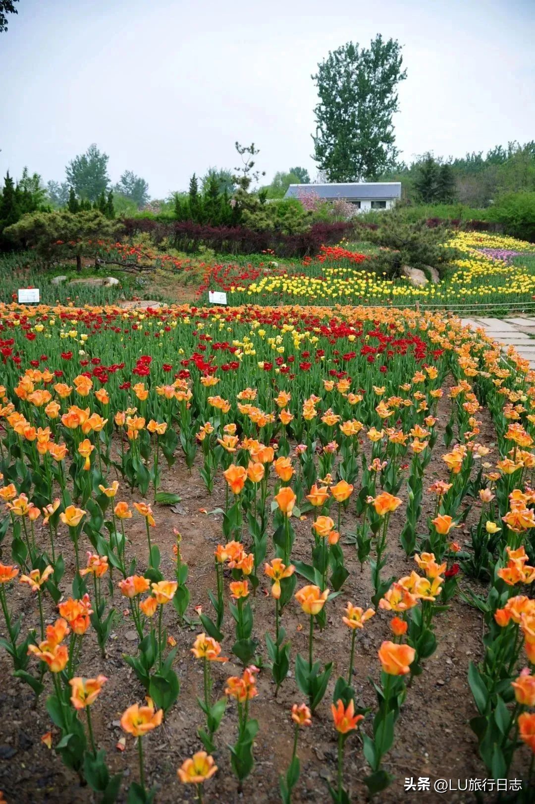 济南免门票景区旅游攻略,济南景区有哪些免门票景点