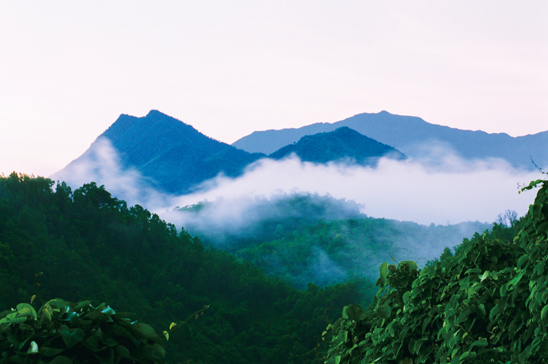 国家公园现状,国家公园与生物多样性