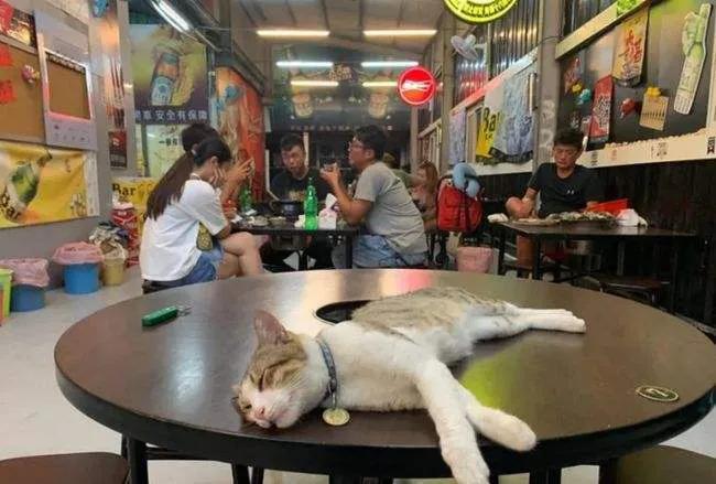 刚刚，我把月入2万元的烧烤店关掉了：表面风光，辛酸自己知道