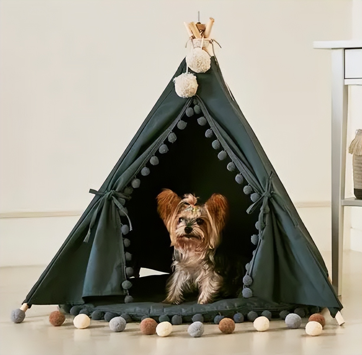 美国大型户外野营帐篷,户外帐篷亚马逊运营