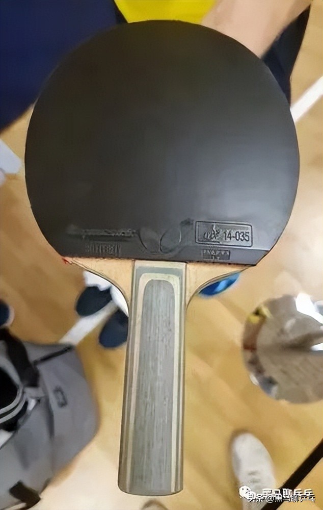 每周乒器观察148：蝴蝶，被挺拔捷足先登了