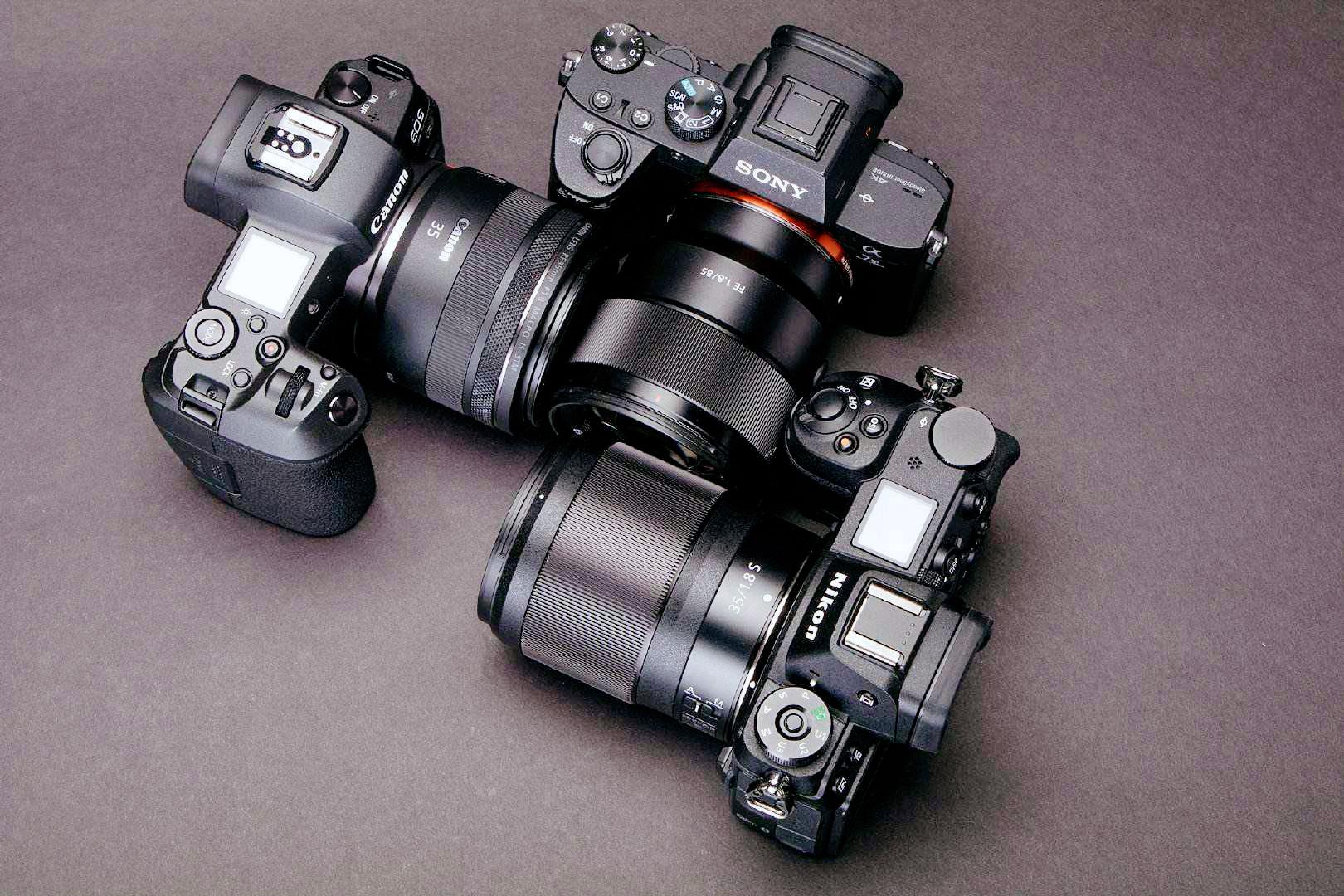 佳能尼康索尼富士哪个单反相机好,尼康入门单反相机推荐哪款比较好