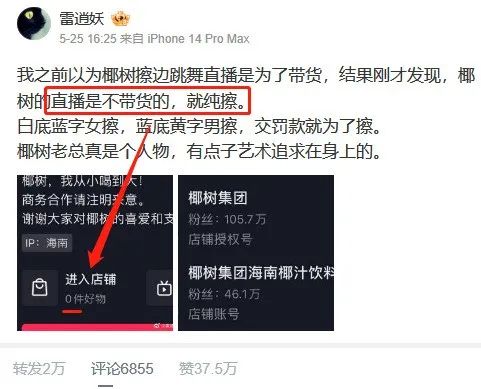 大胆椰树！谁给你胆子搞擦边的？哦，是我们呀…
