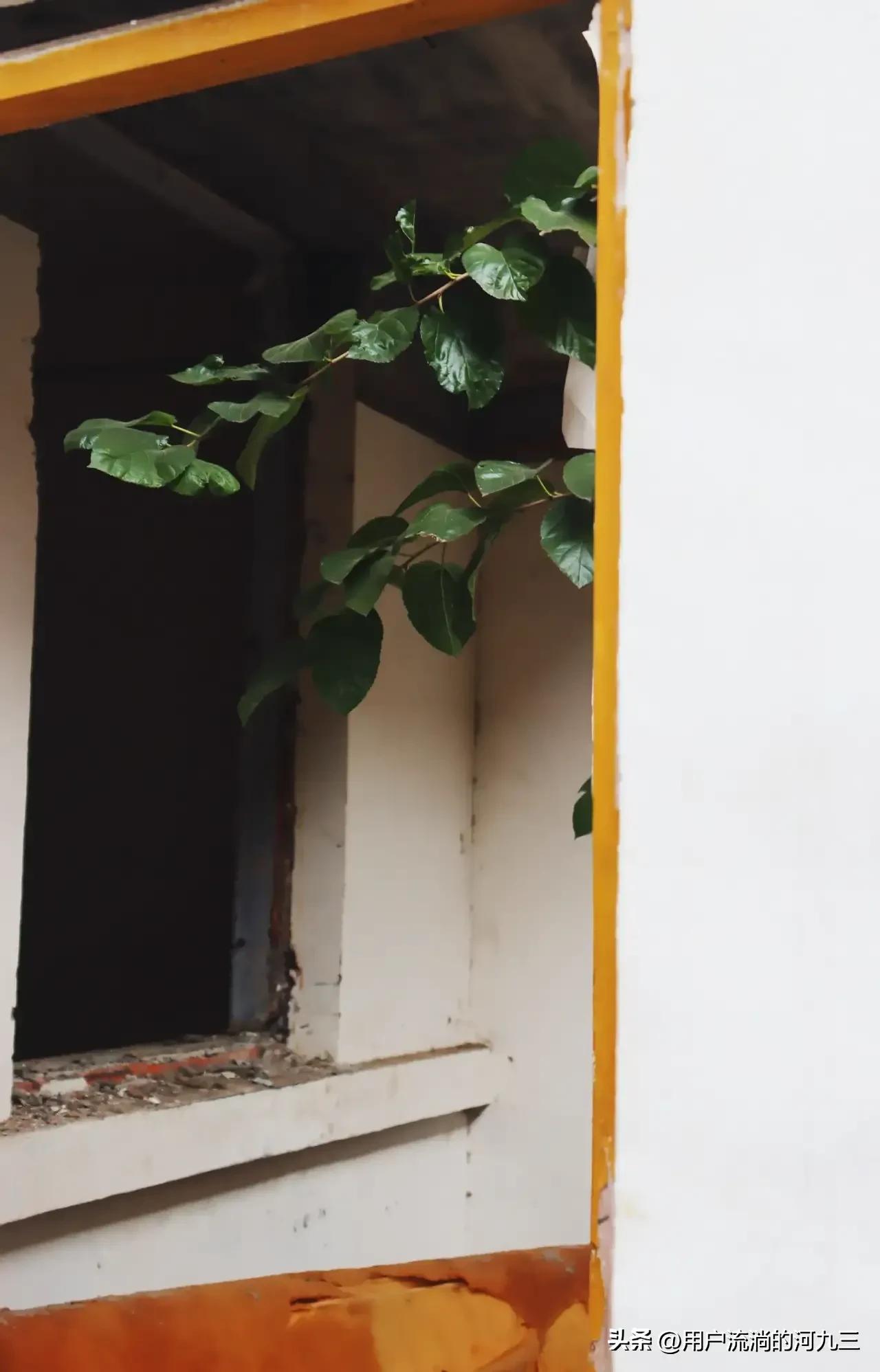 德阳二重厂,德阳二重机械厂