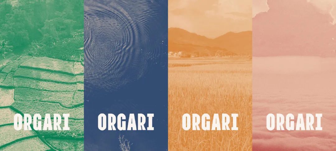 闀囨睙澶х背鍖呰璁捐,澶х背鍖呰璁捐娴欐睙