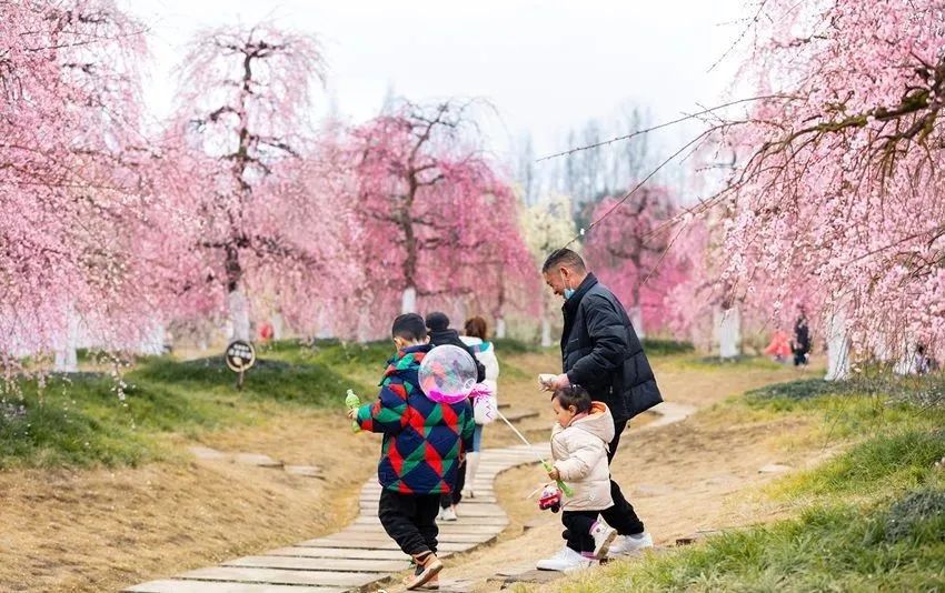 过年“嗨”不停！1.5h飙拢的7大都江堰宝藏逛耍地！这份全攻略请收好，初二耍到初六不重样~