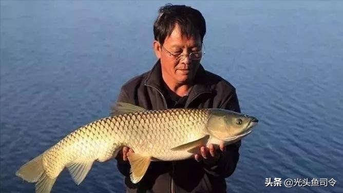 2018年王者之战有哪些战队,2018王者之战历届冠军战队名单