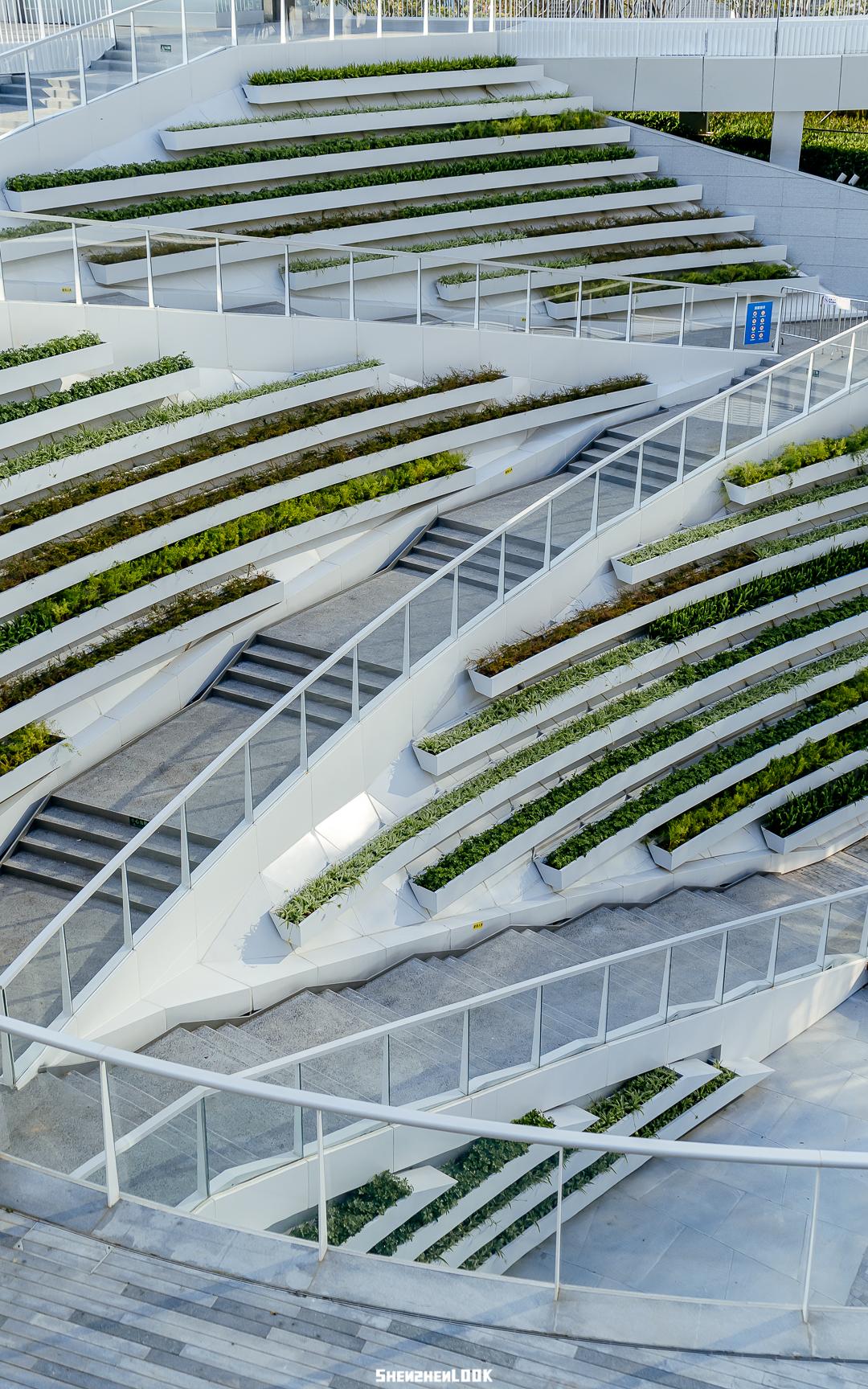 大美深圳全部视频,大美宝安