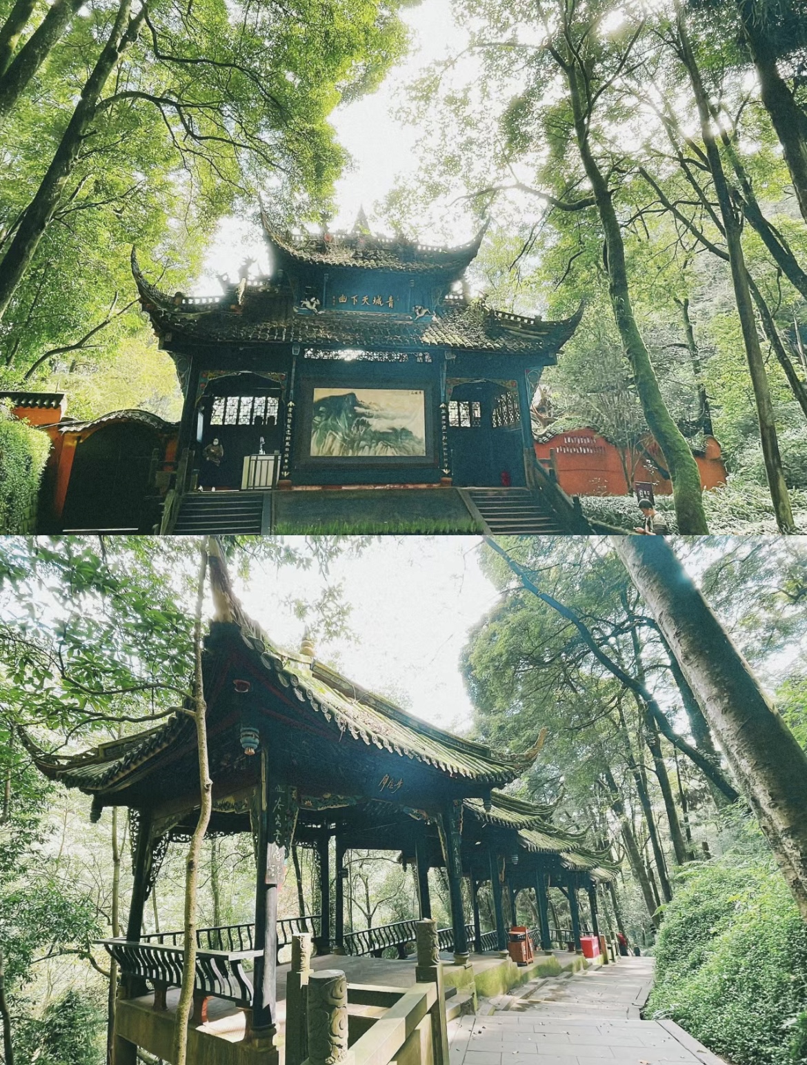 成都火爆的都江堰青城山怎么玩？超全干货攻略来了