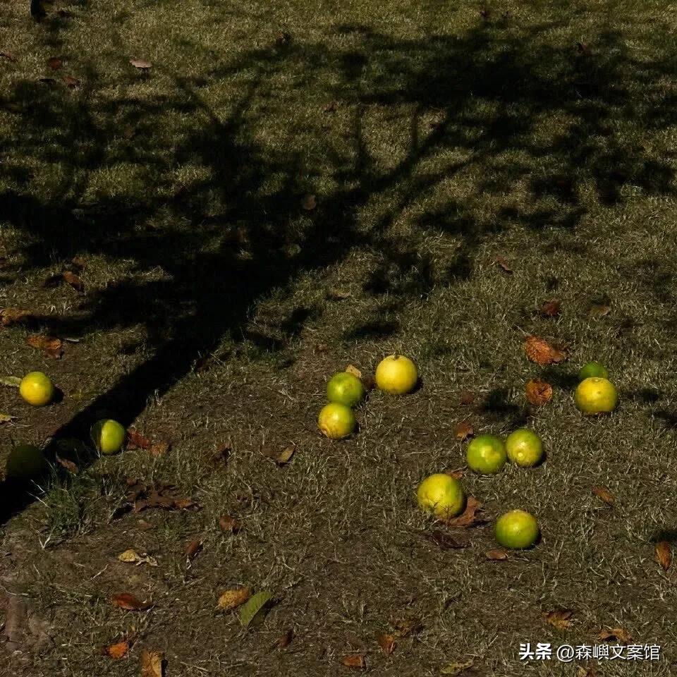 聊天凑热闹的幽默文案,聊天emo文案男生专用