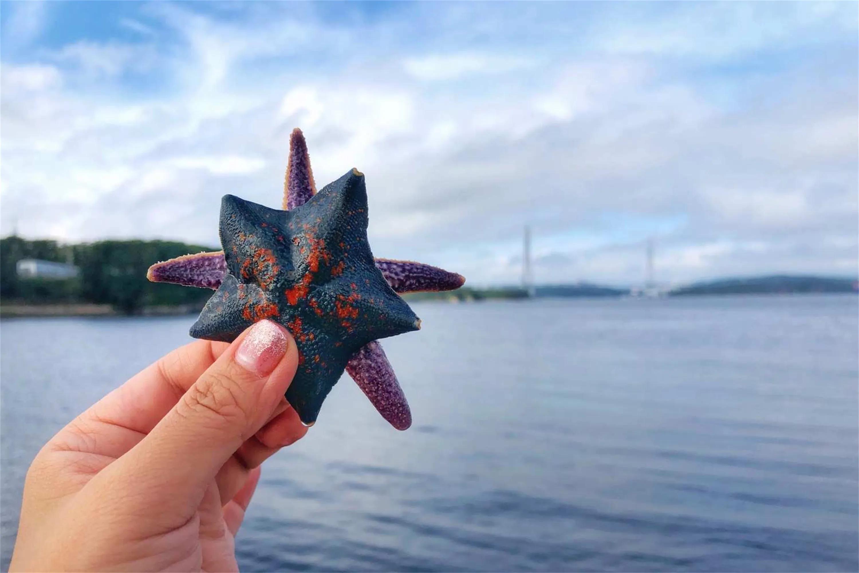 校园里有海？难怪普京最爱去这里！这才是别人家的大学吧！