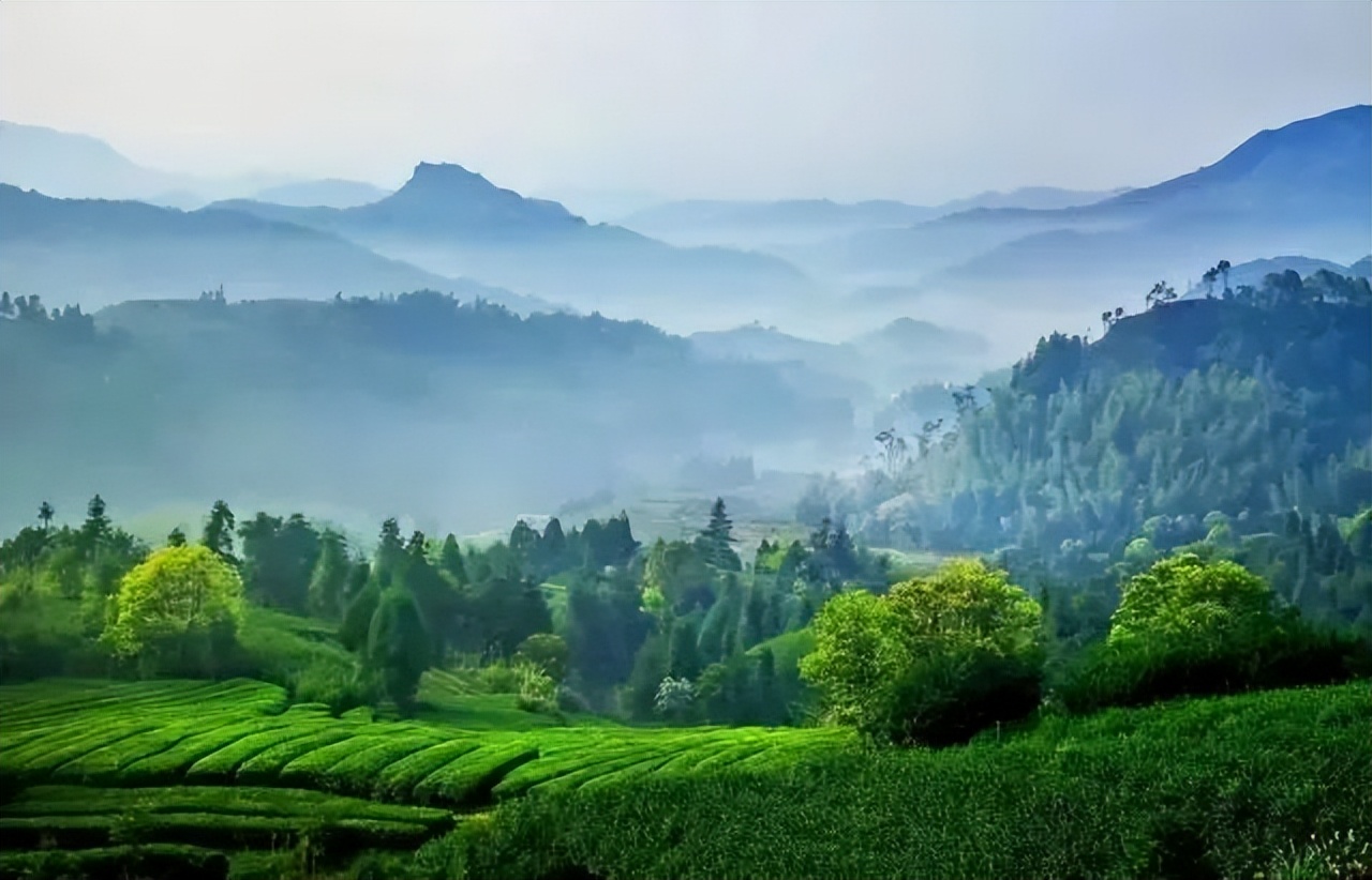 北纬三十度名茶名酒,北纬30度十大名茶