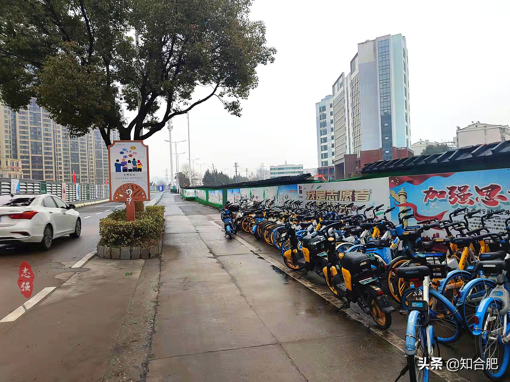 合肥师范学院和安徽师范大学,安徽师范大学图片好看