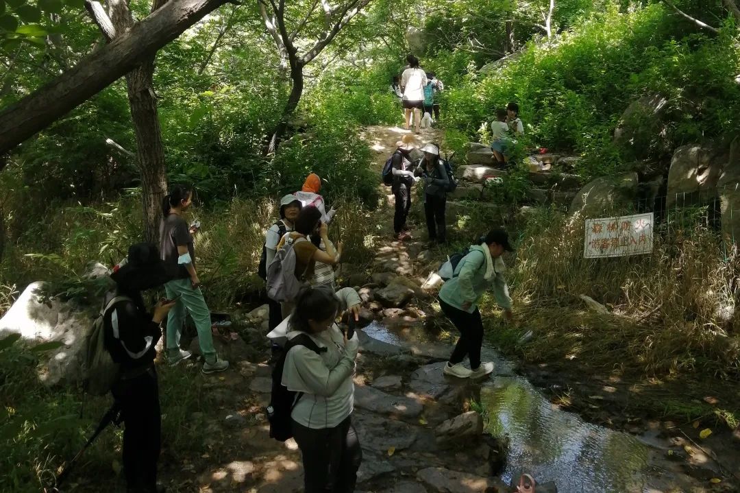 天津春天亲子徒步旅游路线推荐,天津户外徒步一日游推荐
