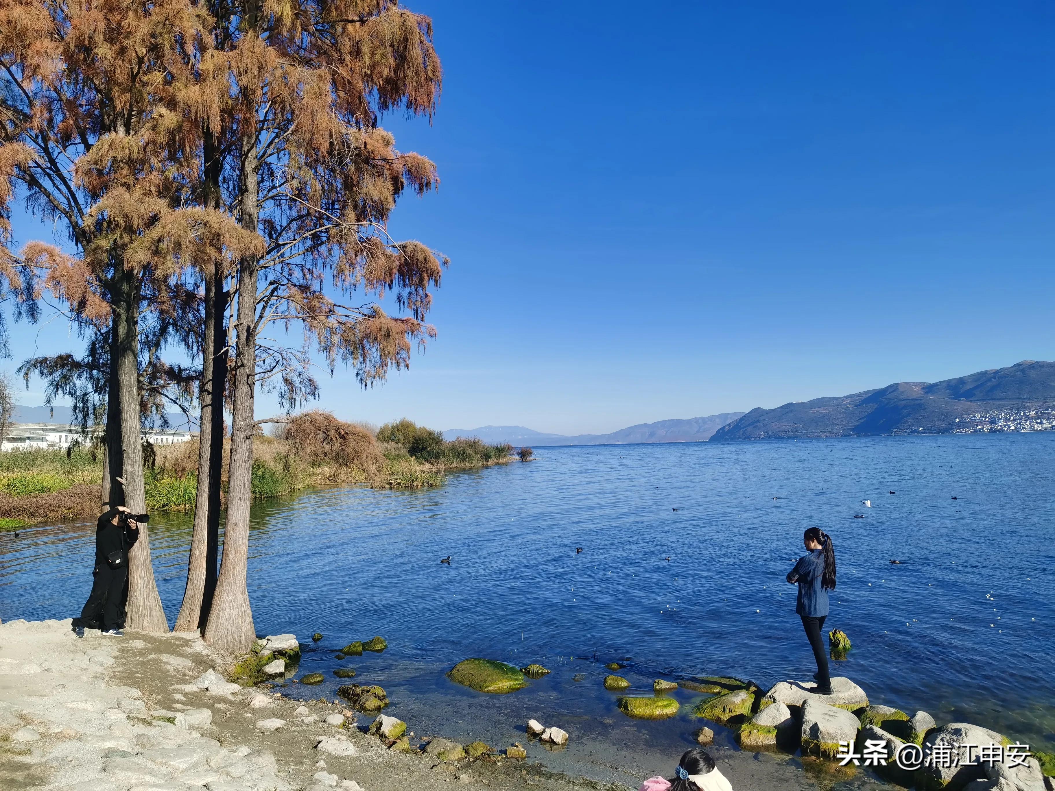 云南大理洱海龙龛码头看海景,大理洱海生态走廊精华