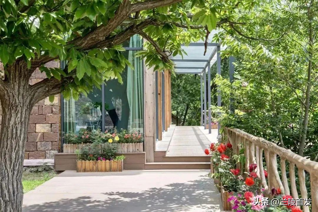 临沂沂南民宿十佳排名,临沂星级民宿排名