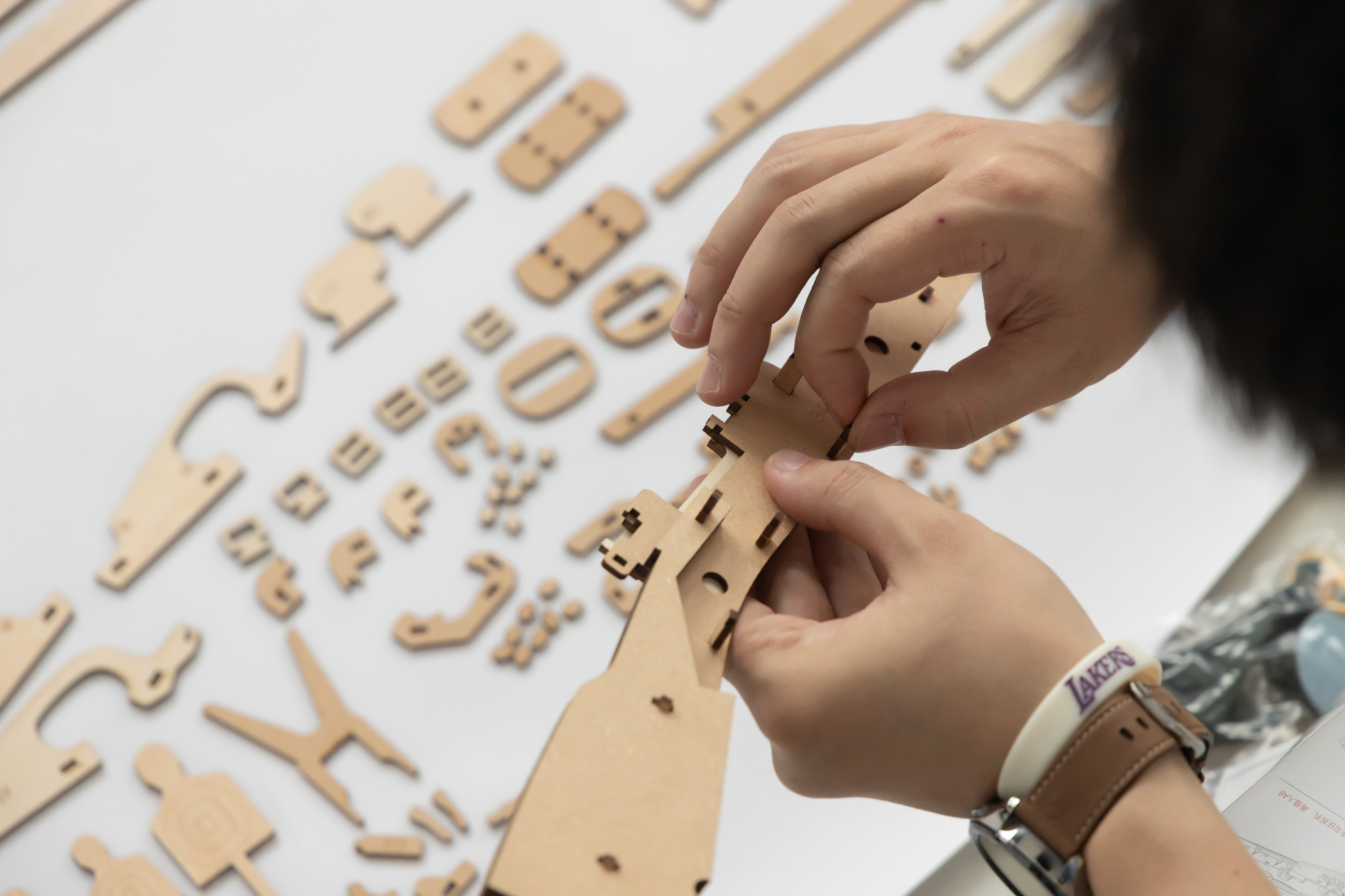 涓浗鐜╁叿鐏垎鍥藉,鐜╁叿鍏ヤ镜