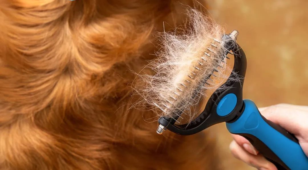 tiktok鐮翠嚎绮変笣瑙傜湅,tiktok鐮翠嚎绮変笣鍏虫敞