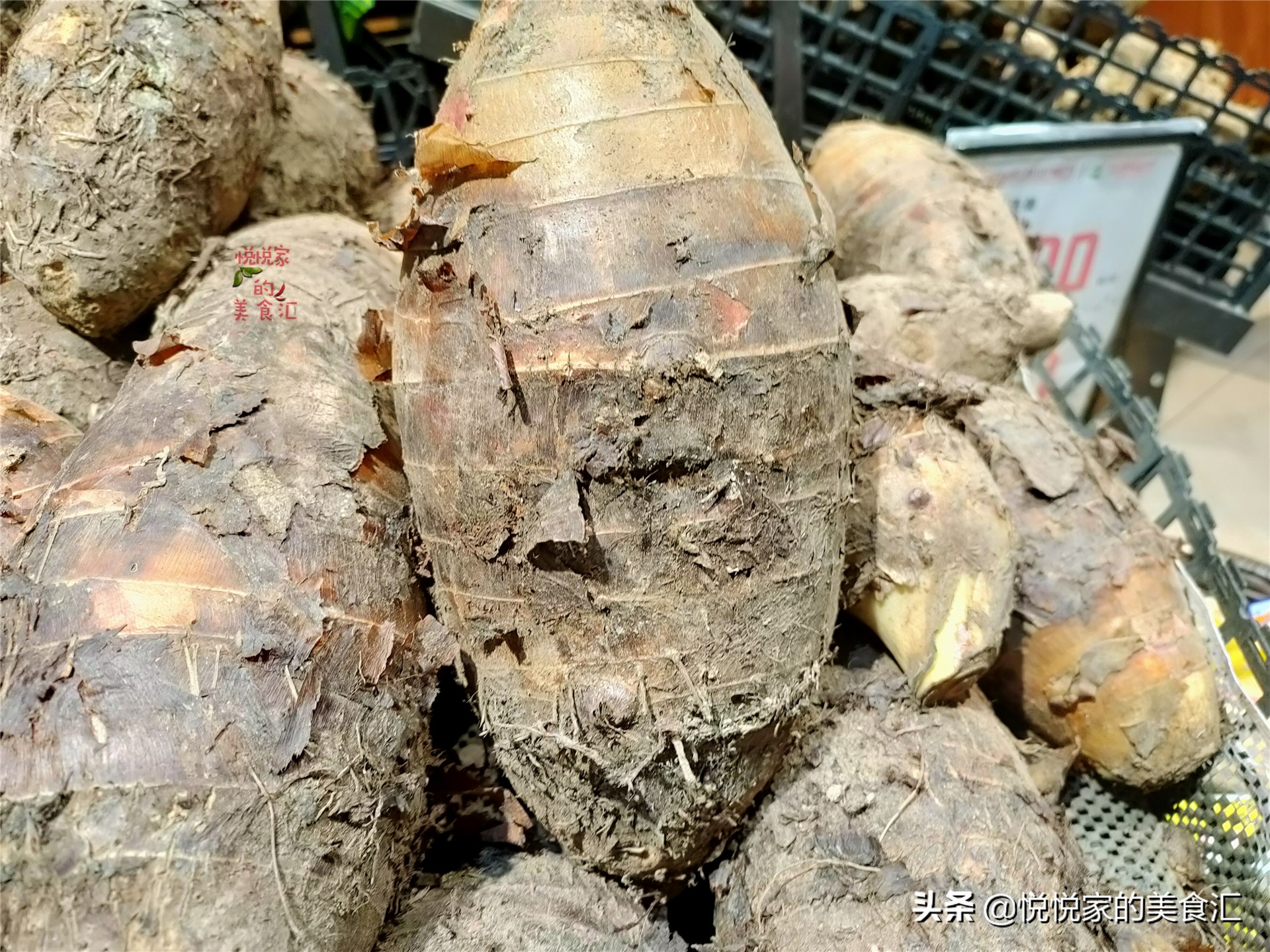 买荔浦芋头攻略,怎样选香芋才是正确的
